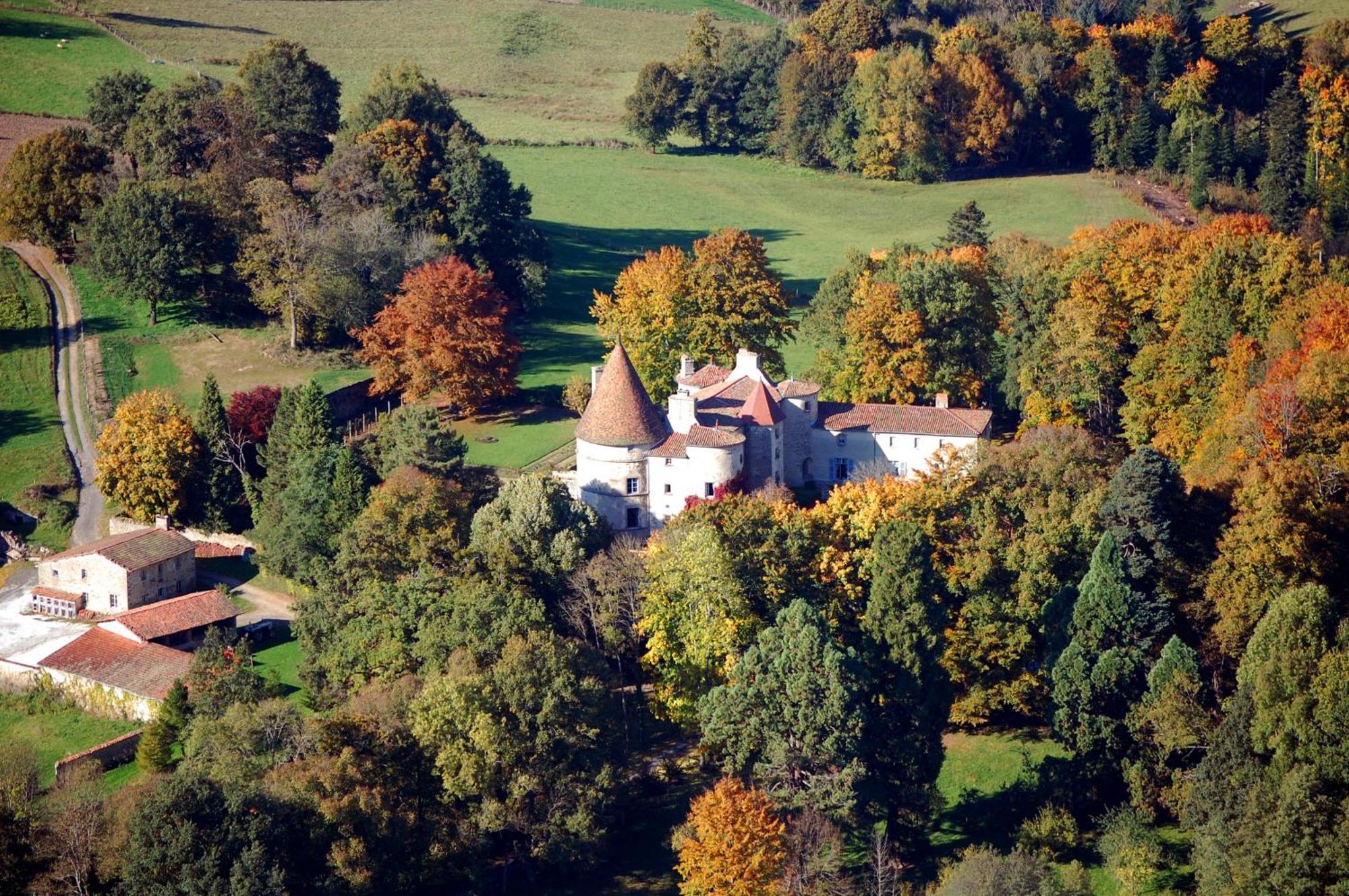 Chateau Des Martinanches Saint-Dier-dʼAuvergne Exterior foto