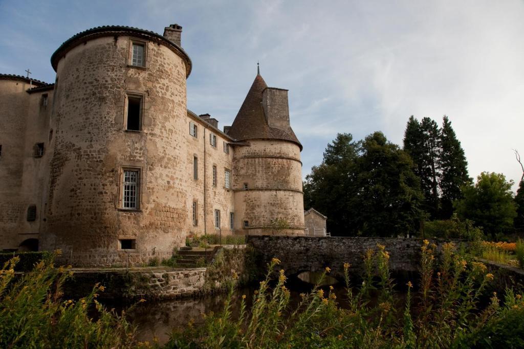 Chateau Des Martinanches Saint-Dier-dʼAuvergne Exterior foto